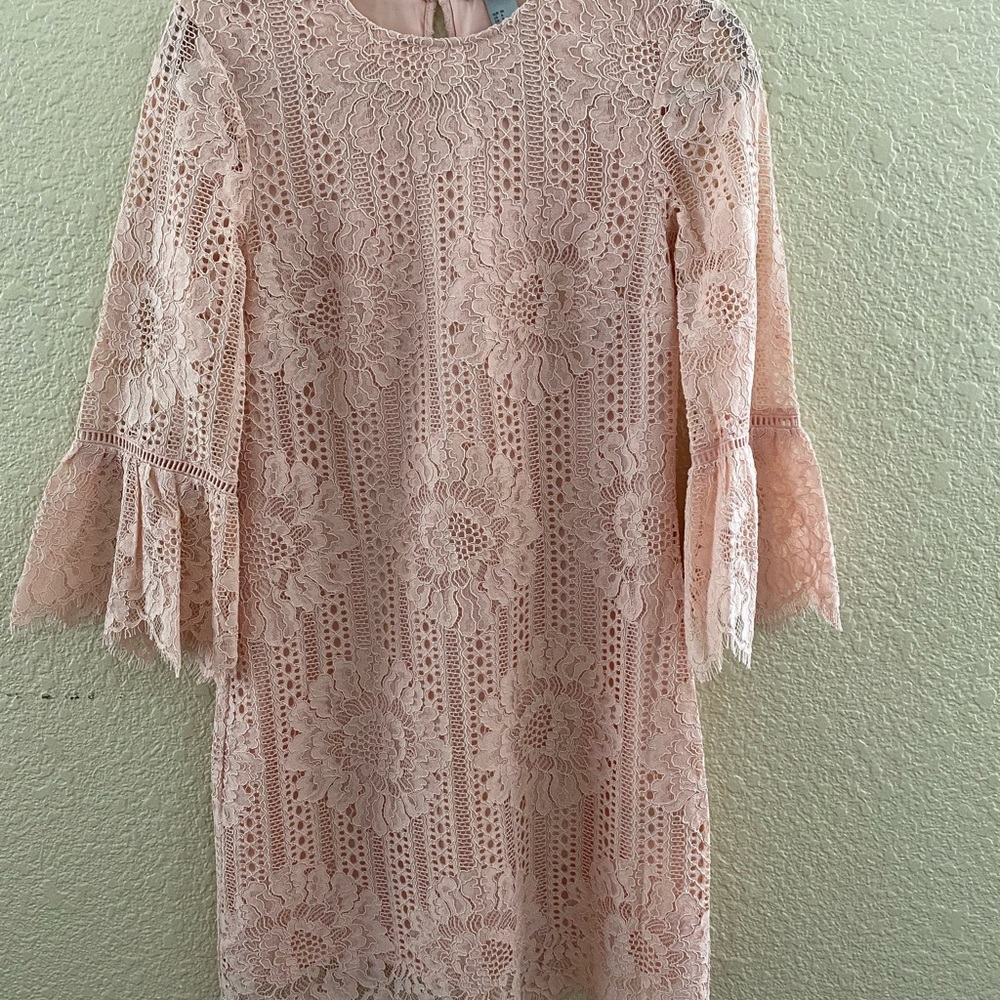H&M dust pink lace dress size 6